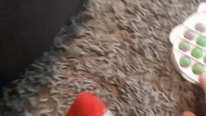 силиконовая  собачка  и поп ит обзор