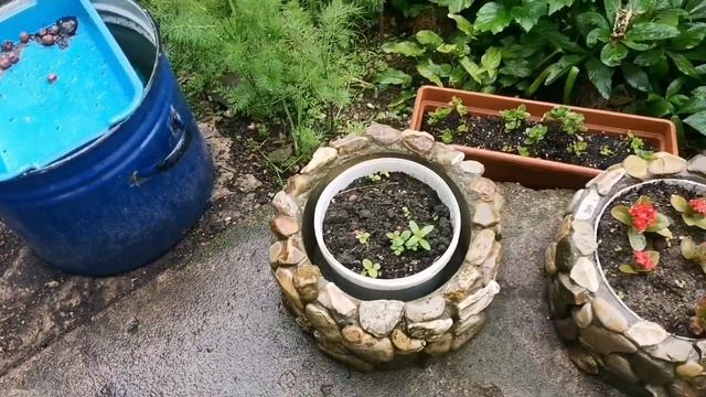 что можно сделать из асбоцементной трубы, идея для сада, ландшафт смотреть онлайн