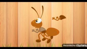 пазлы насекомые для детей