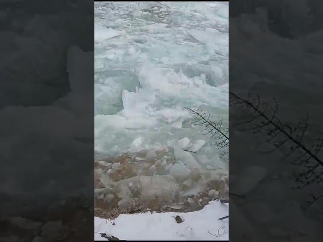 24 ноября 2023 г. смотреть онлайн