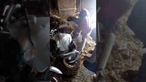 иж планета 3 с зажиганием от скутера