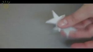 Сырные звёздочки/Украшения для канапе.