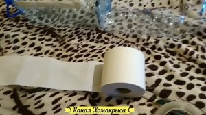 Кормушка для птиц своими руками  Как сделать кормушку для птиц Кормушка для птиц из бутылки