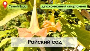 Райский сад. Святой Влас. Обзор двухкомнатного апартамента.