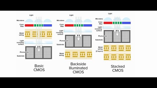 Nikon D800 Review: Full Frame Bargain? смотреть онлайн