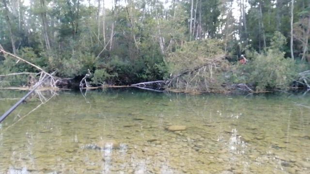 В ЭТОЙ ЛУЖЕ ОГРОМНЫЕ КАРАСИ. Вечерняя рыбалка выходного дня смотреть онлайн