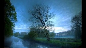 Река из горьких слов