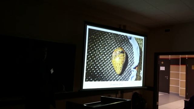 Путевка в жизнь