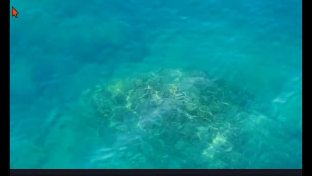 Когда есть чем поделиться смотреть онлайн