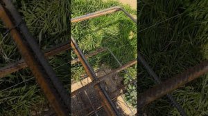 Армирование ленточного фундамента, несколько углов рядом.