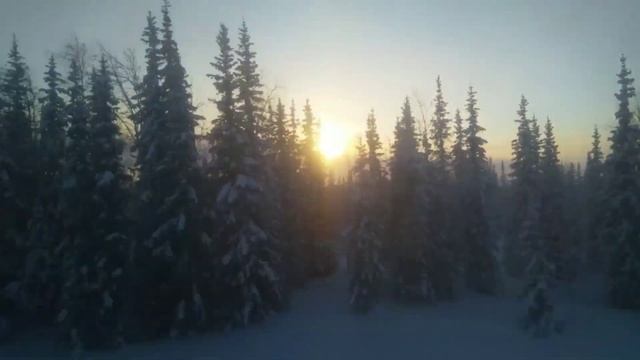 Север. Поездка в СГК-4 (ГСП-4) смотреть онлайн