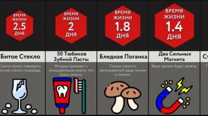 Если Вы Проглотите ___?
