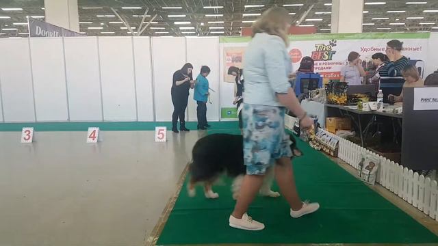 Падение ростомера смотреть онлайн