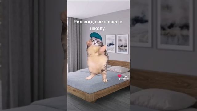 жиза