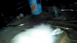 как сделать брелок из заячьего хвостика