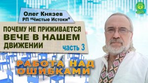 Почему не приживается Вече в нашем движении (ч 3)