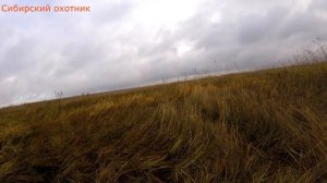 Охота на Сибирских болотах.Гусь,мазила и крякашь.Сезон 2018.
