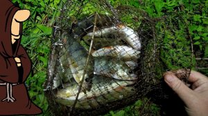 Попали на Окуневый Котел и надолбили крупных Окуней Рыбалка в Августе на донку с берега реки Сок