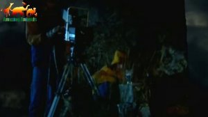 Попугай Кеа - убийца овец / Попугаи жестоко убивает овец - Самый умный и жестокий попугай в мире