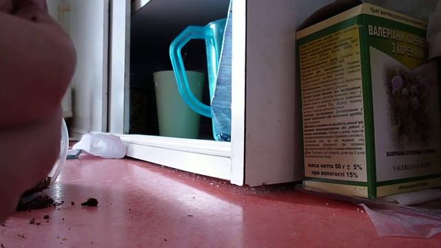 Как насадить на крючок навозного червя смотреть онлайн