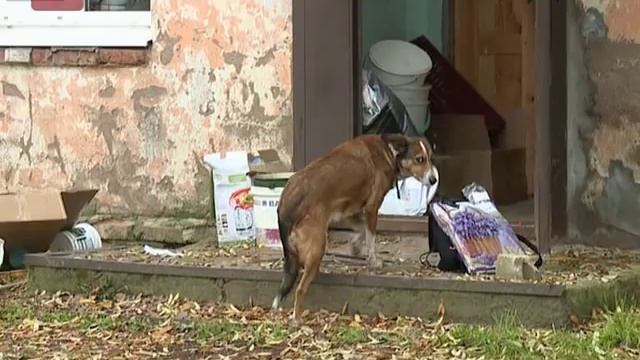 Простые дроби анонс на 19.10.2015 смотреть онлайн