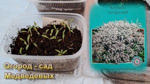 Первые результаты (всходы) февральских посевов цветов