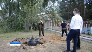 Семейное дерево: преобразование парка "Согласия"