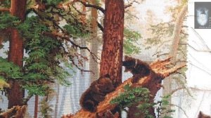 LucaS Утро в сосновом лесу СП В мире животных Отчет 6 Вышивка крестом