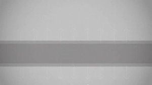 Полеуритановый строительный клей TriS