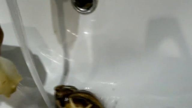 Мои Улитки! Пополнение Уход за улитками! смотреть онлайн