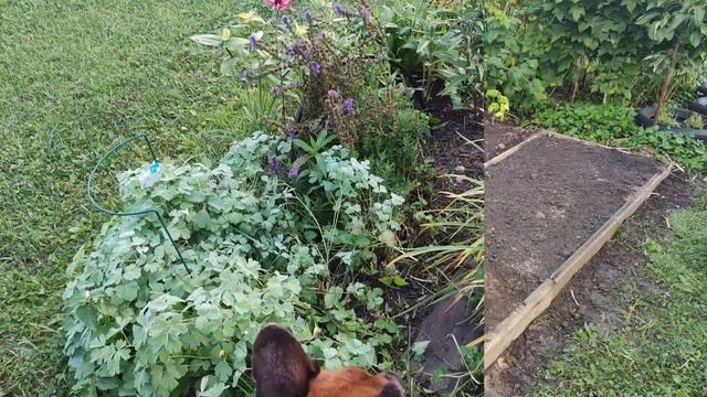 Последние дни сентября/Обзор участка/Немного грустно! смотреть онлайн