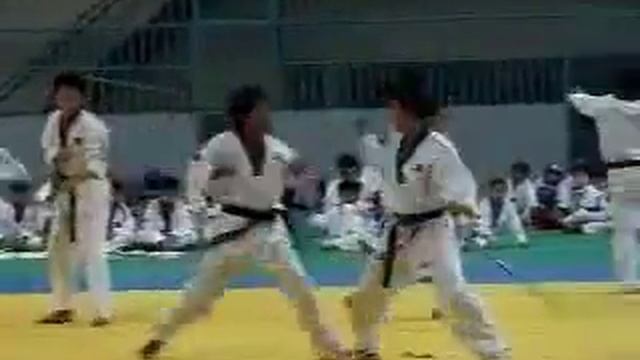 Kickers Taekwondo Demo Team смотреть онлайн