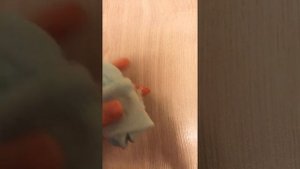 ЧТО НУЖНО ВЗЯТЬ БАСИКУ С СОБОЙ В ДЕРЕВНЮ,НА ДАЧУ ИЛИ НА МОРЕ.