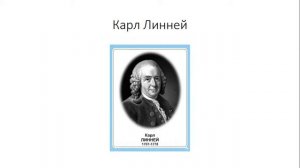 Урок №3 "Разнообразие живых организмов и их классификация"