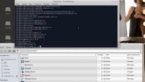 Установка клиента для видеонаблюдения Polyvision, Partizan и т.п. на Ubuntu 16.04 x64