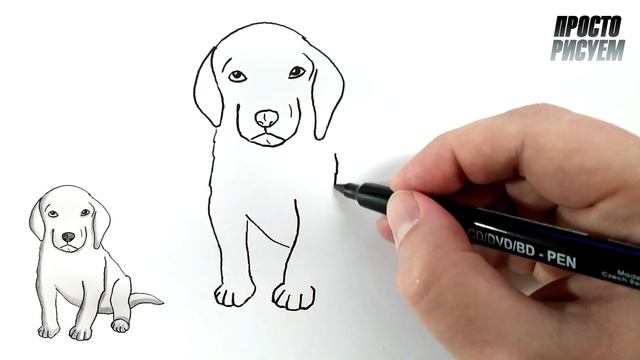 Как нарисовать ЩЕНКА смотреть онлайн