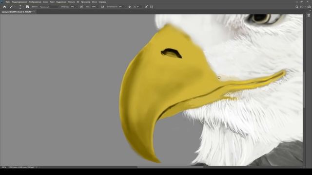 Урок Adobe Photoshop(фотошоп) (80 Lvl)Рисунок орла (80 Lvl)фотошоп уроки