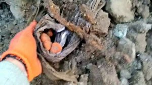 МЕТАЛЛОКОП БЕЗ МЕТАЛЛОИСКАТЕЛЯ/114/