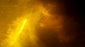 Охота на Туракаева