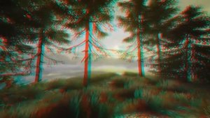 3D Природа Лесная прогулка 3D Video Anaglyph