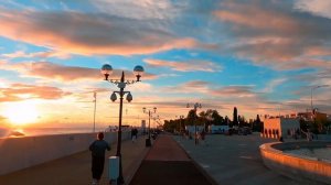 Ёлка Прованс