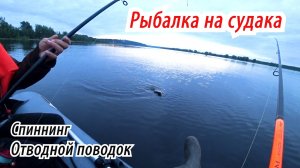 ПОПАЛИ ПОД РАЗДАЧУ СУДАКА НА 40 МИНУТ! СПИННИНГ / ЛОВЛЯ СУДАКА НА ОТВОДНОЙ ПОВОДОК С ЛОДКИ