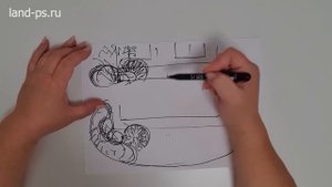 Ландшафтные почеркушки. Миксбордер у дома