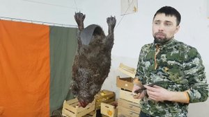 Финка НКВД от BARK - Рубим ГИЛЬЗЫ. Выбор ножа для охоты. Обзор и тест Финки.