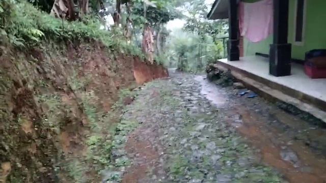 Walking Around||Rain in the morning in remote villages of West Java||Indonesia смотреть онлайн