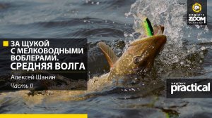 За щукой с мелководными воблерами. Средняя Волга. Часть 2. Anglers Practical.