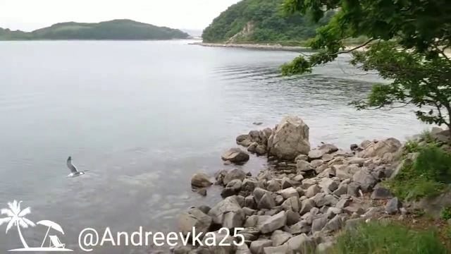 Андреевка, июль 2019, Хасанский район, Приморский край смотреть онлайн