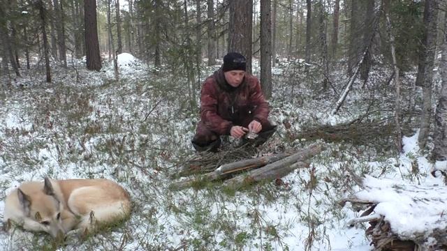 Охота на боровую по первому снегу. Глухарь не дремлет. С маскхалатом могло быть всё по другому.