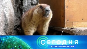 «Сегодня в Санкт-Петербурге»: 31 января 2023 года