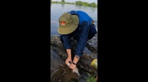 Забытая снасть из СССР ловить рыбу Москве-реке #Shorts #Рыбалка #Лещ #Донка #Снасти